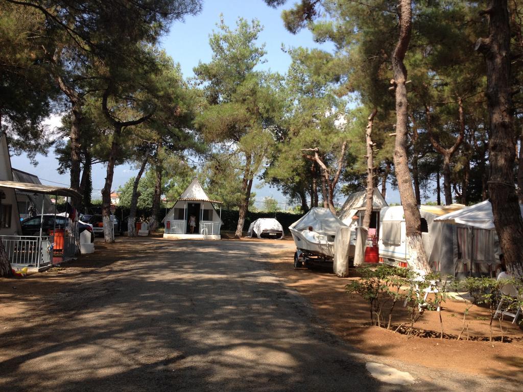 Olympos Beach 普拉卡利特索罗 外观 照片