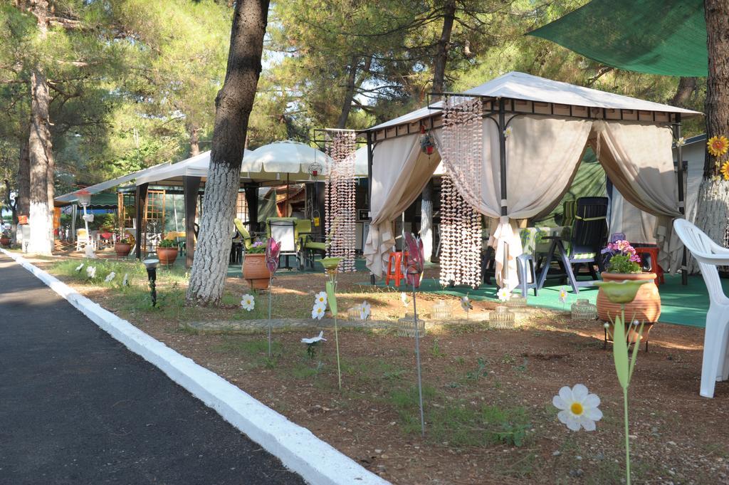 Olympos Beach 普拉卡利特索罗 外观 照片