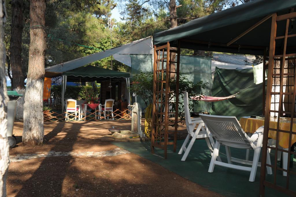 Olympos Beach 普拉卡利特索罗 外观 照片